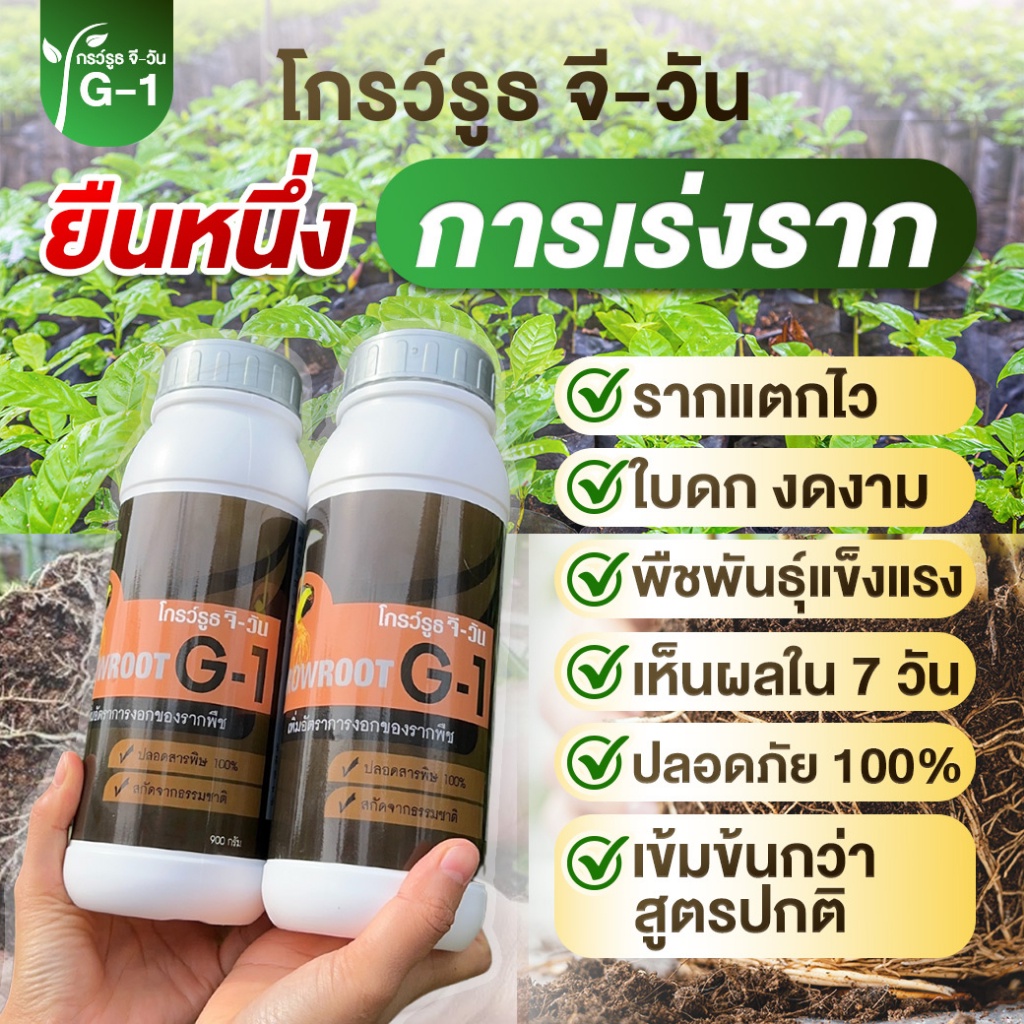 ยาเร่งราก ยกลัง 12 ขวด แบบผง โกรว์รูธ จี-วัน เร่งราก เร่งใบ น้ำยาเร่งรากกระตุ้นการแตกใบอ่อน ใบดก - รูปที่ 2