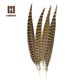 Touch of Nature Ringneck Pheasant Feathers 4/Pcs, Natural