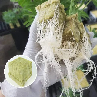 rockwool cubes ร็อควูล ก้อนเพาะปลูกต้นกล้า เพาะเมล็ด เพาะชำ ไฮโดรโปนิค100/60/36pcs วัสดุใยหินปลูกต้นไม้ ระบบไร้ดิน