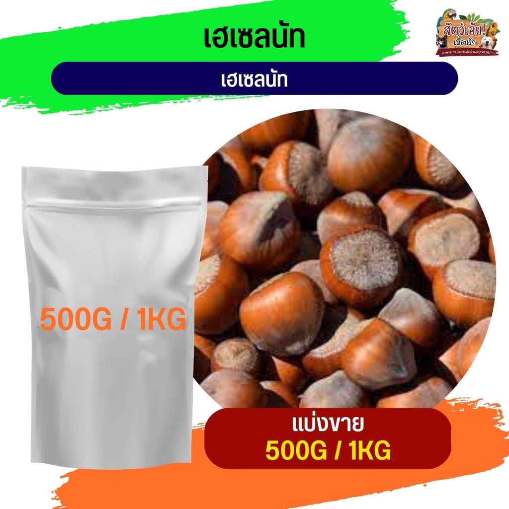 Hazelnut ถั่วเฮเซลนัท อาหารนกและสัตว์ฟันแทะ (แบ่งขาย 500G / 1KG)