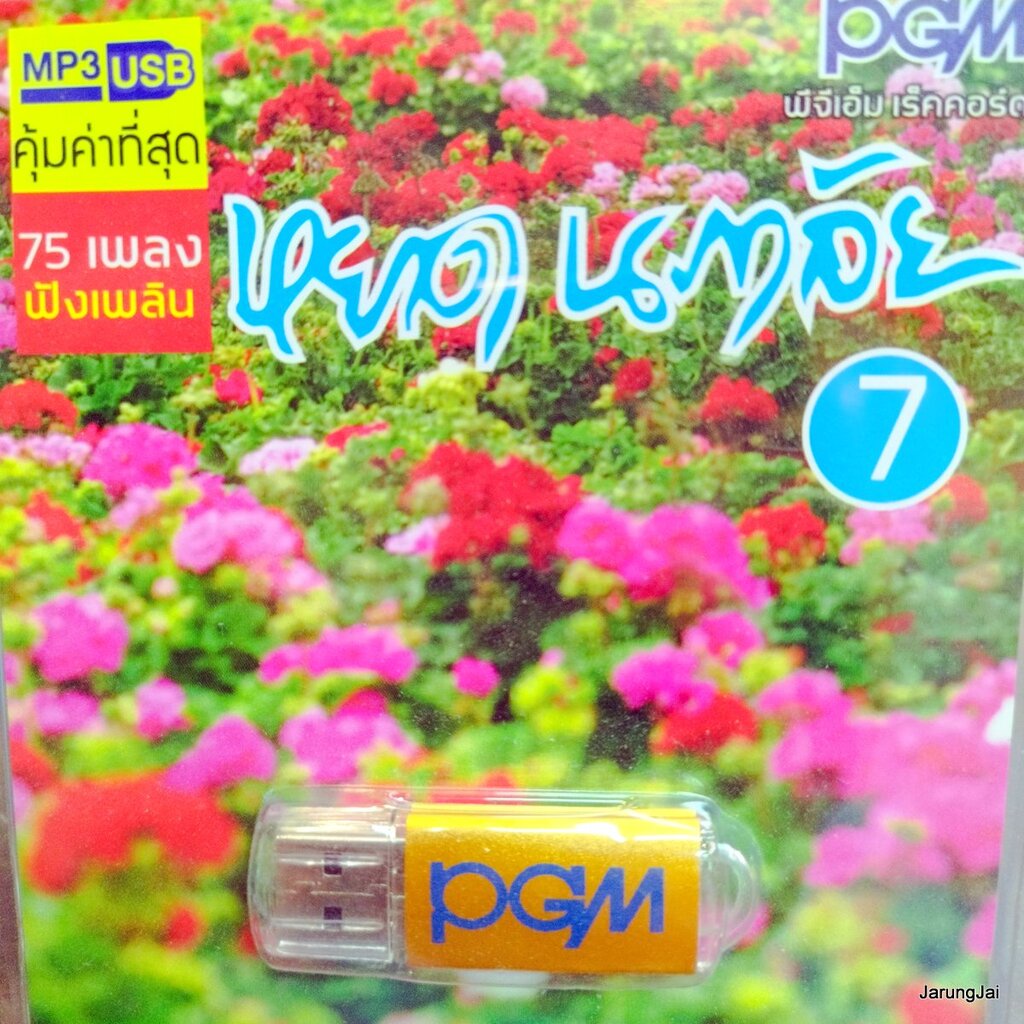 usb หยาด นภาลัย ชุด 7 หรีดรัก พี่รักเธอคนเดียว รักคุณเข้าแล้ว โลกนี้คือละคร บ้านเรา คีรีบูน mp3 usb 