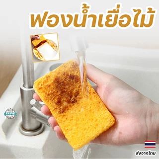 ฟองน้ำล้างจานคุณภาพสูง ทำจากเยื่อไม้ หนา 2 ซม. ไม่สะสมเชื้อโรค ทำความสะอาดง่าย