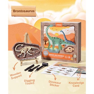 นายอินทร์ Mideer มิเดียร์ Steam Game Revive Brontosaurus ชุดนักสำรวจไดโนเสาร์