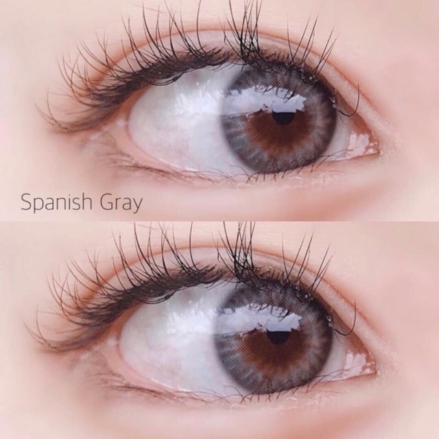 คอนแทคเลนส์ ขนาดมินิ Gray Spanish (Gaezz Secret)