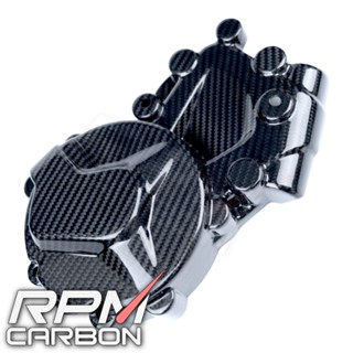 BMW S1000RR 2009-2014 Carbon Fiber Engine Cover