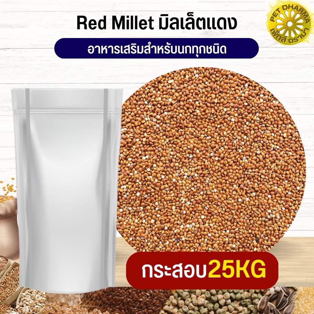 Red Millet มิลเล็ตแดง อาหารนก กระต่าย หนู กระต่าย กระรอก ชูก้า และสัตว์ฟันแทะ สะอาดได้คุณภาพ(กระสอบ 25KG)