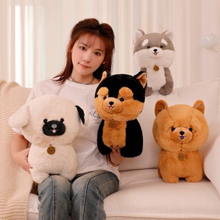 ตุ๊กตาสุนัขฮัสกี้ Chow Chow Yo-Chon ของขวัญวันเกิด วันวาเลนไทน์ คริสต์มาส 3 ขนาด