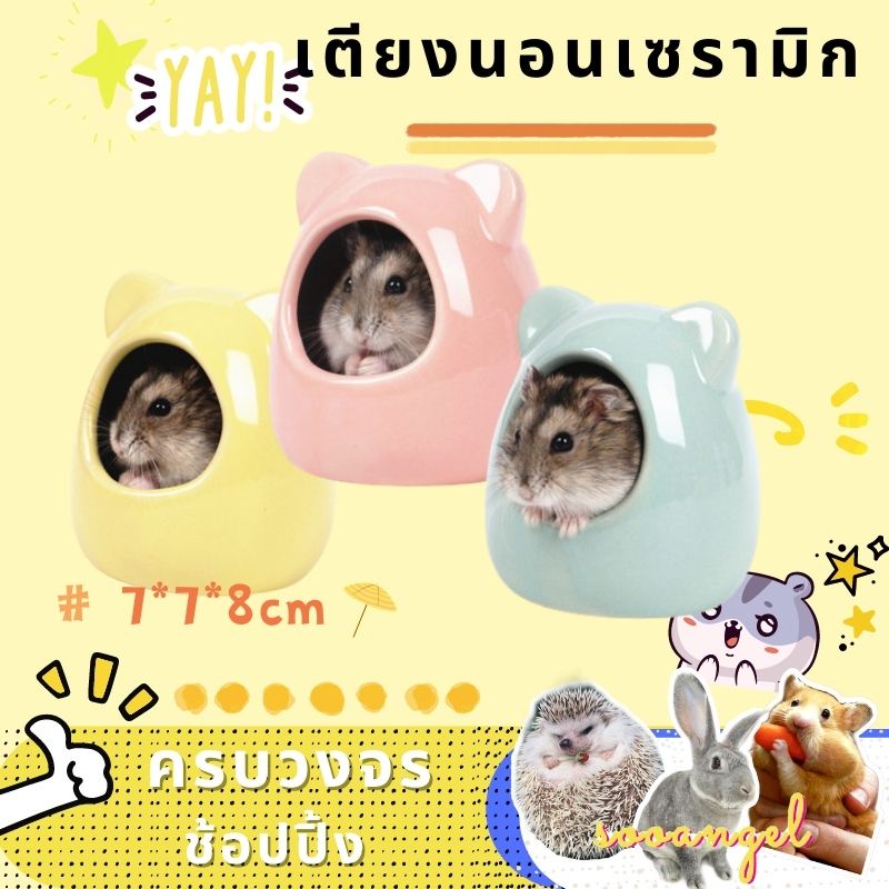 [sooangel] บ้านเซรามิคหมี บ้านหมี ยี่ห้อ บ้านแฮมสเตอร์ สำหรับสัตว์เลี้ยงXTTCW