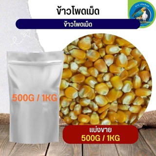 สุดยอด ข้าวโพดเม็ด corn kernels อาหารนก กระต่าย หนู กระต่าย กระรอก ชูก้า และสัตว์ฟันแทะ (แบ่งขาย 500G / 1KG)