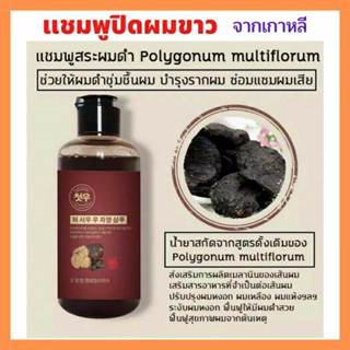 แชมพูบำรุงผมขาว Polygonum Multiflorum นำเข้าจากเกาหลี ช่วยให้ผมดำ☘️ รักษาผมหงอกจากรากผม ขนาด 300 มล. ทำจากธรรมชาติ