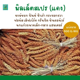 อ่านก่อนซื้อ..มิลเล็ตสเปรย์ (แบ่งขาย 200-500G.) อาหารนกแก้ว หนูแฮมสเตอร์ และสัตว์ฟันแทะ