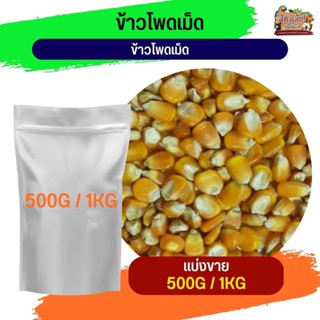 corn kernels ข้าวโพดเม็ด  อาหารนกและสัตว์ฟันแทะ (แบ่งขาย 500G / 1KG)