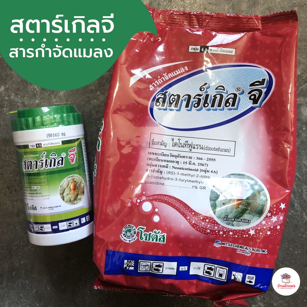 สตาร์เกิลจี สารกำจัดแมลง ไม้อวบน้ำ กุหลาบหิน cactus&succulent