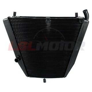 พร้อมส่ง!ฝาครอบถังเก็บน้ําหล่อเย็น สําหรับ Honda CBR1000 RR 2006 2007