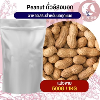 ถั่วลิสงนอก PeaNut อาหารนก กระต่าย หนู กระต่าย กระรอก ชูก้า และสัตว์ฟันแทะ สินค้าสดใหม่ทุกชิ้น (แบ่งขาย 500G / 1KG)