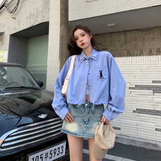 เสื้อเบลาส์ แขนยาว ปักลายกระต่าย ทรงหลวม แฟชั่นฤดูใบไม้ผลิ สําหรับผู้หญิง