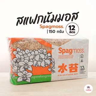 สแฟกนัมมอส Spagnum moss 12 ลิตร ( 150 กรัม )