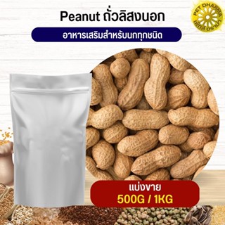 ถั่วลิสงนอก PeaNut อาหารนก กระต่าย หนู กระต่าย กระรอก ชูก้า และสัตว์ฟันแทะ สะอาดได้คุณภาพ (แบ่งขาย 500G / 1KG)