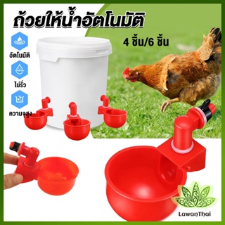 Lawan ถ้วยให้น้ำอัตโนมัติ สำหรับไก่ 4 ชิ้น 6 ชิ้น Automatic drinker