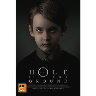 หนัง DVD ออก ใหม่ The Hole in the Ground (2019) มันมากับหลุมมรณะ (เสียง อังกฤษ | ซับ ไทย/อังกฤษ) DVD ดีวีดี หนังใหม่