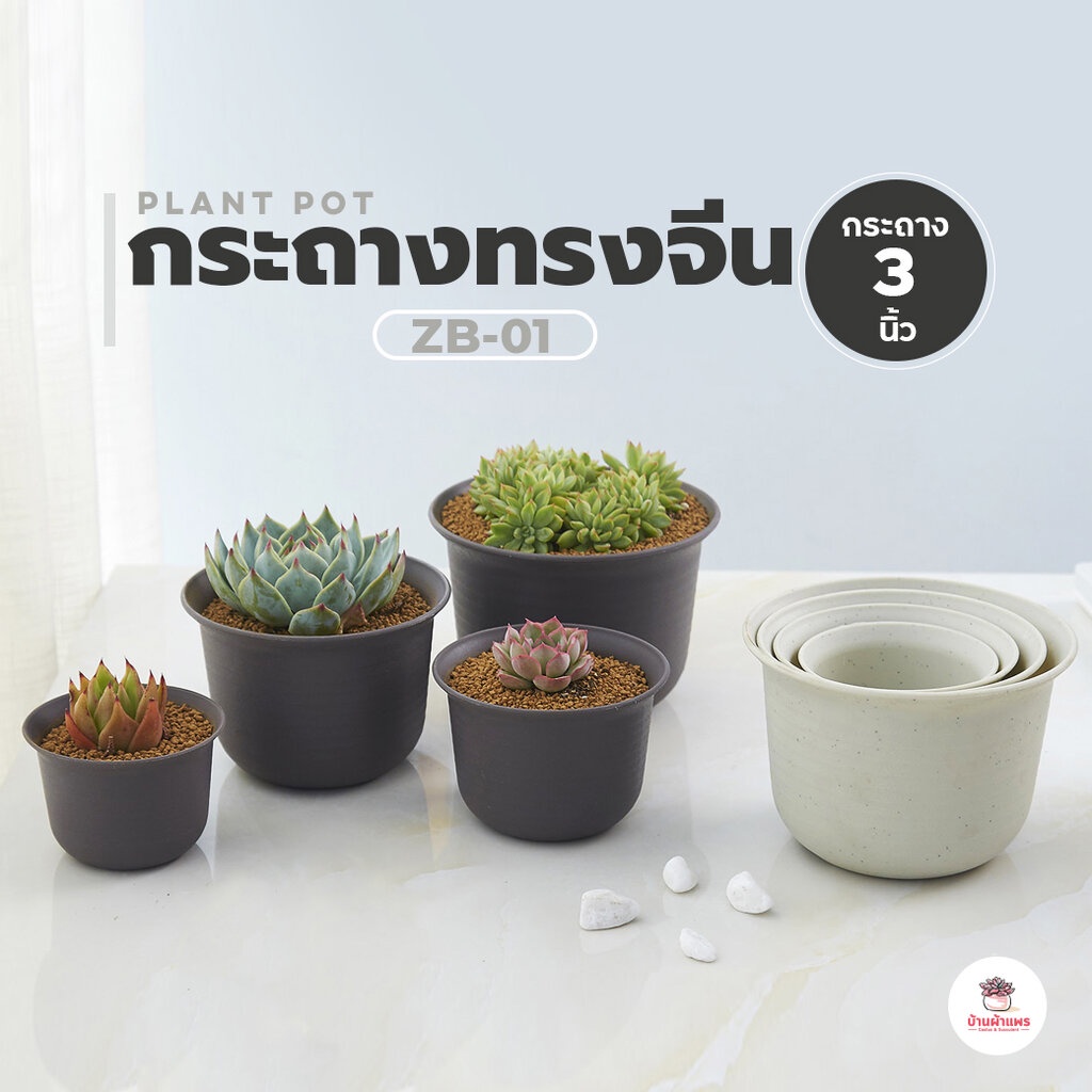 [ ZB-01 ] กระถางทรงจีน 3 นิ้ว กระถางพลาสติก แคคตัส กระบองเพชร ไม้อวบน้ำ Cactus&Succulent