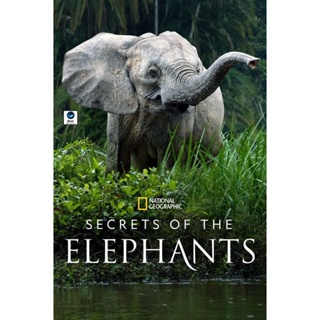 แผ่นดีวีดี หนังใหม่ Secrets of the Elephants (2023) 4 ตอน (เสียง อังกฤษ | ซับ ไทย(ฝัง)) ดีวีดีหนัง