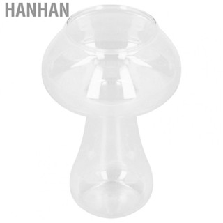 Hanhan Clear Glass Vase Bottle 20150 High Borosilicate Glass Clear Glass Vase For