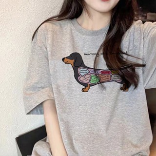 เสื้อยืด พิมพ์ลายกราฟฟิคอนิเมะ Dachshund ตลก สําหรับผู้หญิง