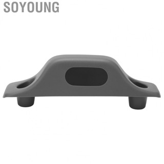 Soyoung 4L3Z 15264B83 AAB Grey Head Liner Roof Trim Antiaging for Car