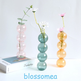 Blossomea แจกันแก้วใส ไฮโดรโปนิก ลายดอกไม้ สร้างสรรค์ สําหรับตกแต่งบ้าน ห้องนั่งเล่น