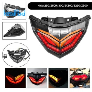 ไฟท้ายรถจักรยานยนต์ LED สําหรับ Kawasaki Ninja 250 300 EX300 Z250 2013-2018