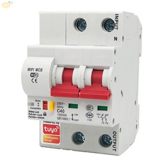 【VARSTR】Stay Safe and Smart with WiFi Circuit Breaker 2P Automatic Switch for Tuya Smart