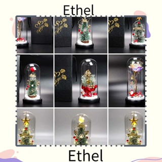 Ethel1 โคมไฟ LED รูปดอกกุหลาบ สไตล์โรแมนติก สําหรับตกแต่งบ้าน สวน คริสต์มาส