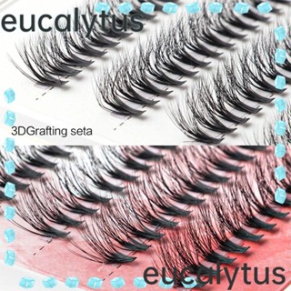 Eucalytus1 ชุดต่อขนตา 10-14 มม. 200 ชิ้น สําหรับผู้หญิง DIY