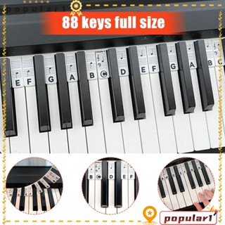 Popular สติกเกอร์เปียโนซิลิโคน แบบพกพา 88 คีย์