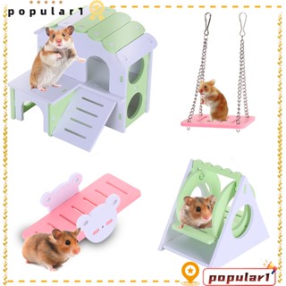 Popular บ้านไม้ ทรงสามเหลี่ยม ของเล่นสําหรับหนูแฮมสเตอร์