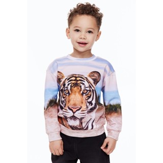 H&amp;M  Boy Printed cotton sweatshirt 1134823_1