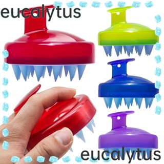 Eucalytus1 แปรงแชมพูนวดผม เพื่อสุขภาพ