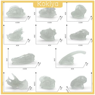 [Kokiya] ชุดของเล่นโมเดลไดโนเสาร์ หัวกะโหลก ของเล่นเสริมการเรียนรู้ สําหรับเด็กก่อนวัยเรียน