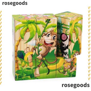 Rosegoods1 จิ๊กซอว์ไม้ปริศนา หกด้าน ของเล่นเสริมการเรียนรู้เด็ก 9 ชิ้น