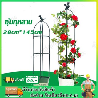 ซุ้มกุหลาบเลื้อย ซุ้มไม้เลื้อย ขนาด 145cm ซุ้มเหล็กโค้ง ของแต่งสวน ซุ้มงานแต่ง ชั้นวางดอกไม้ โครงซุ้มแต่งงาน อุปกรณ์ตกแต