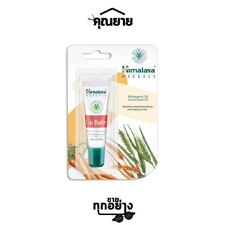 Himalaya (หิมาลายา) Lip Balm ขนาด 10 กรัม  ลิปบาล์มบำรุงริมฝีปาก ฟื้นฟูริมฝีปาก อุดมไปด้วยวิตามินอีและส่วนผสมจากธรรมชาติ