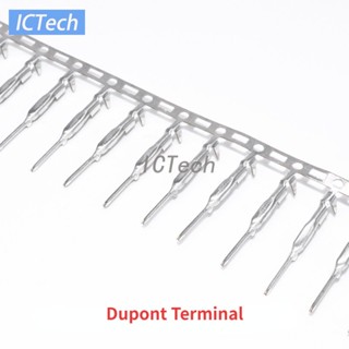 Dupont Termianl Pitch ขั้วต่อสายไฟ 2.54 มม. ตัวผู้ สําหรับสายเคเบิลจัมเปอร์ Dupont Pin 200 ชิ้น