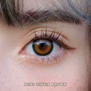 ไม่แถมตลับ Sinvia Brown (มินิ) คอนแทคเลนส์ Kitty Kawaii