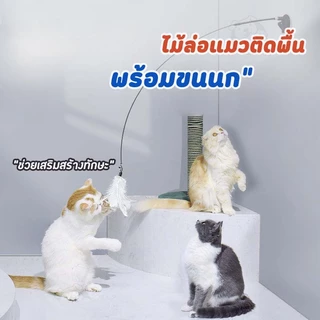 ✨😻﻿ ของเล่นล่อแมว ไม้แหย่แมว ล้อเลียน Cat Stick ไม้ตกแมว แบบปุ่มดูดสุญญากาศ ขนนก สําหรับแมว