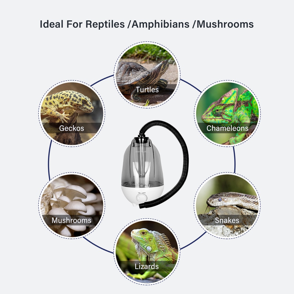 Inkbird เครื่องฟอกอากาศความชื้น 220V 4 ลิตร สําหรับสัตว์เลื้อยคลาน เห็ด สมุนไพร ไววาเรียม - รูปที่ 5