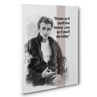 ผ้าใบ ลายคําคม James Dean สําหรับตกแต่งผนัง