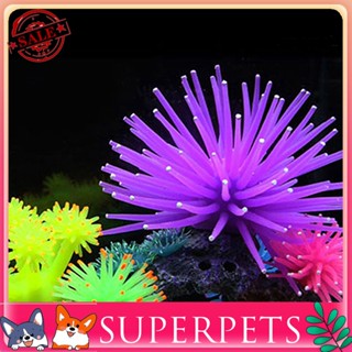 Superpets ปะการังเทียม เรียบง่าย สวยงาม สุ่มสี แฟชั่น พืชปะการังเทียม