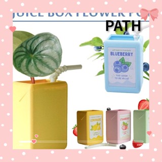 Path กล่องเก็บกระถางต้นไม้ แจกันดอกไม้ น้ําผลไม้ ไฮโดรโปนิก เรซิ่น DIY สําหรับตกแต่งโต๊ะ