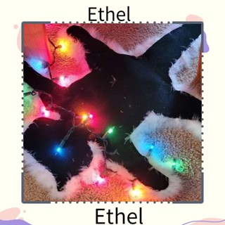 Ethel1 พรมปูพื้น รูปแมวทอดน่ารัก แฮนด์เมด สําหรับตกแต่งบ้าน